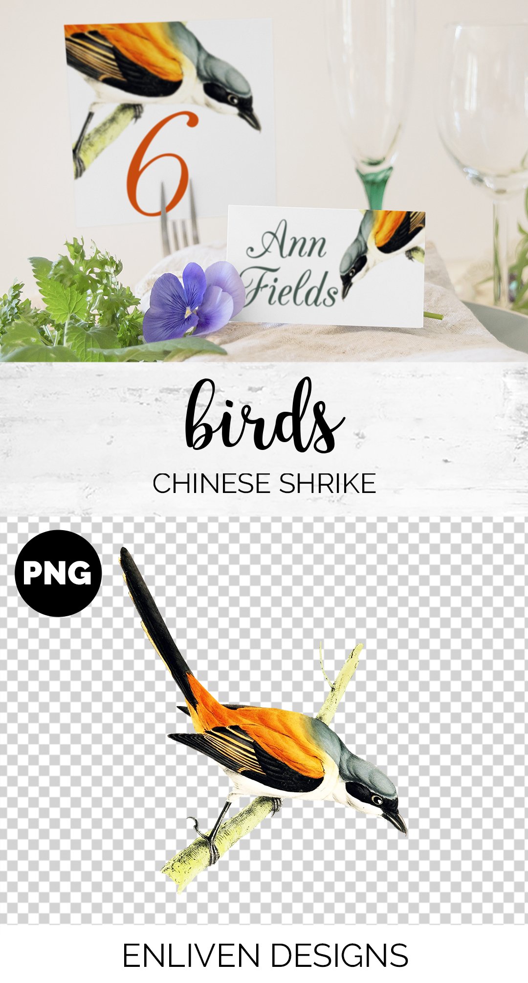 Shrike Chinese Watercolor Bird preview image.