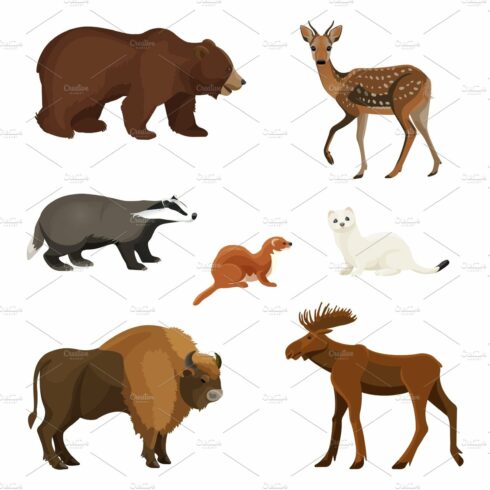 Forest animals with fluffy fur, predators and herbivorous set cover image.