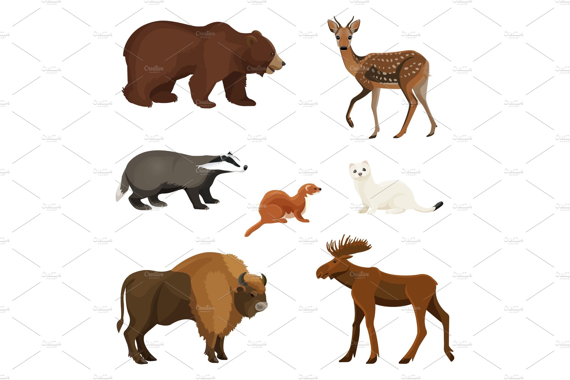 Forest animals with fluffy fur, predators and herbivorous set cover image.