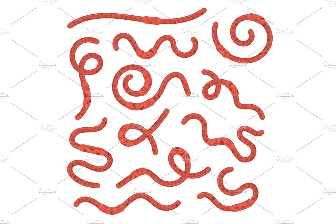 Cartoon Earth Red Worms Set. Vector cover image.