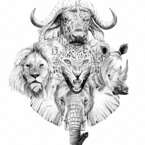 Big african five animal. Hand drawn illustration. Collection of cover image.