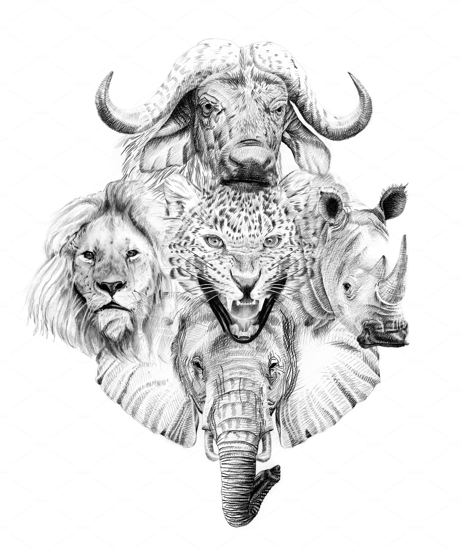 Big african five animal. Hand drawn illustration. Collection of cover image.