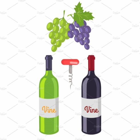 Wine Bottles and Grapes Set Vector cover image.