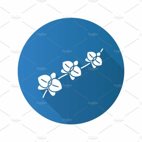 Orchid branch flat design long shadow glyph icon cover image.