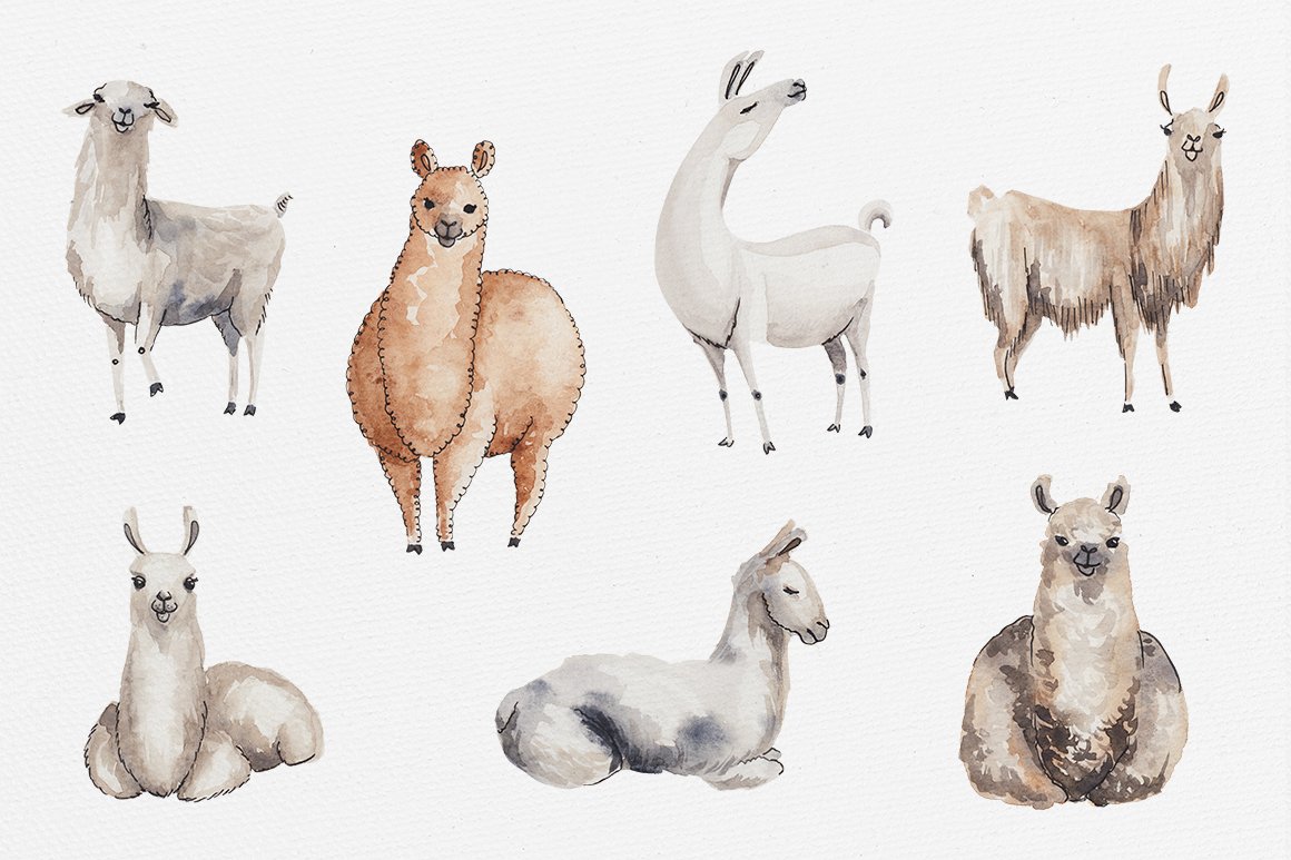 Watercolor Llamas + 2 Patterns preview image.