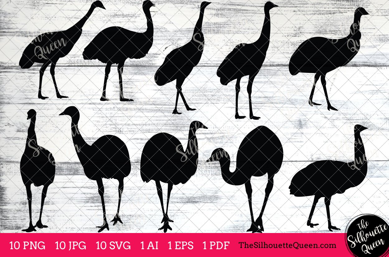 Emu bird Silhouette Clipart Vector preview image.