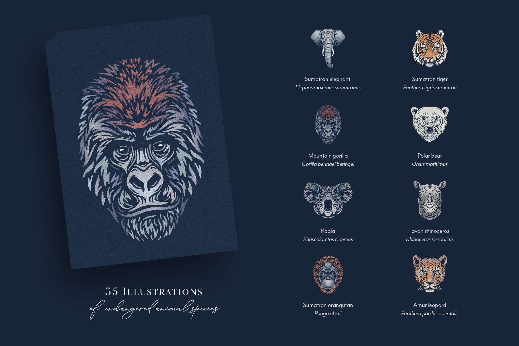 Endangered Animals Illustrations preview image.