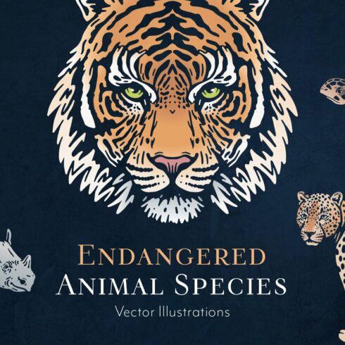 Endangered Animals Illustrations cover image.