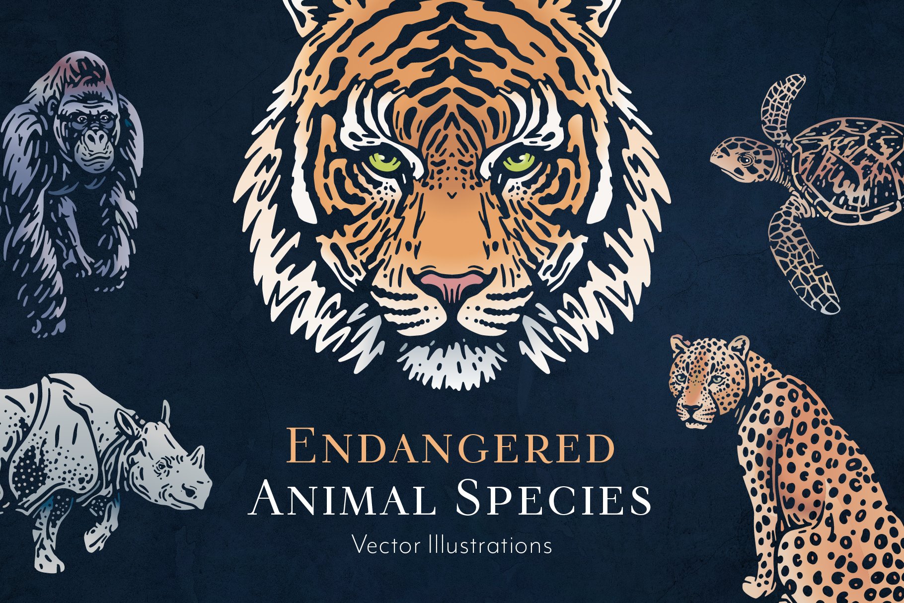 Endangered Animals Illustrations cover image.