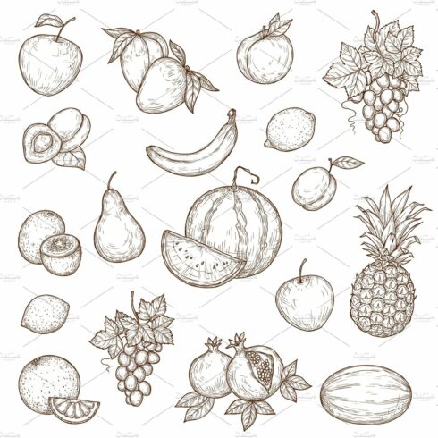 Tropical and garden fruits, vector cover image.