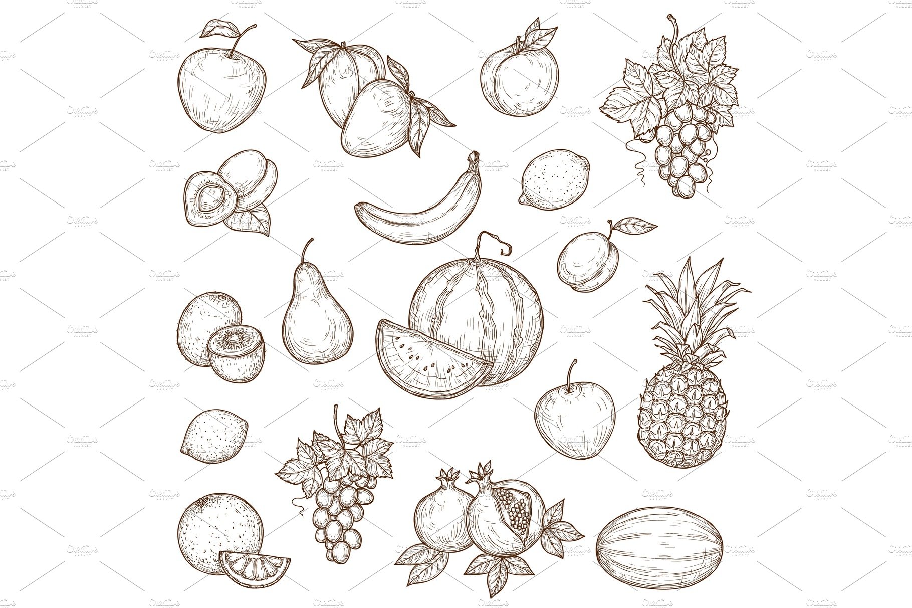 Tropical and garden fruits, vector cover image.