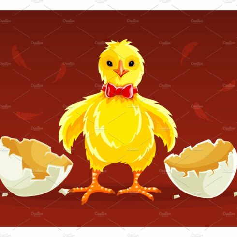 Newborn cartoon hen chicken rooster. cover image.