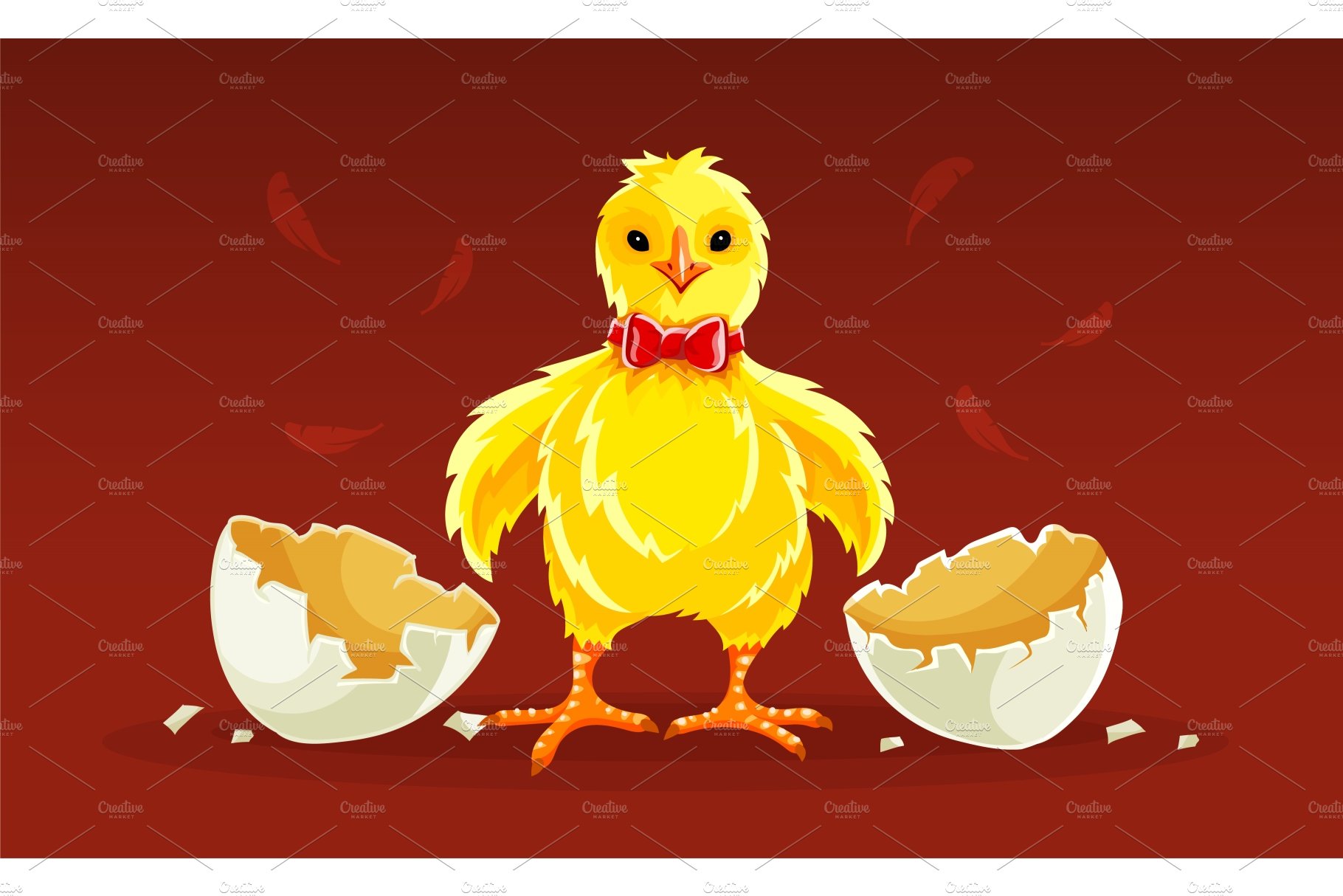 Newborn cartoon hen chicken rooster. cover image.
