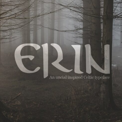 Erin - A Mystical Celtic Typeface cover image.