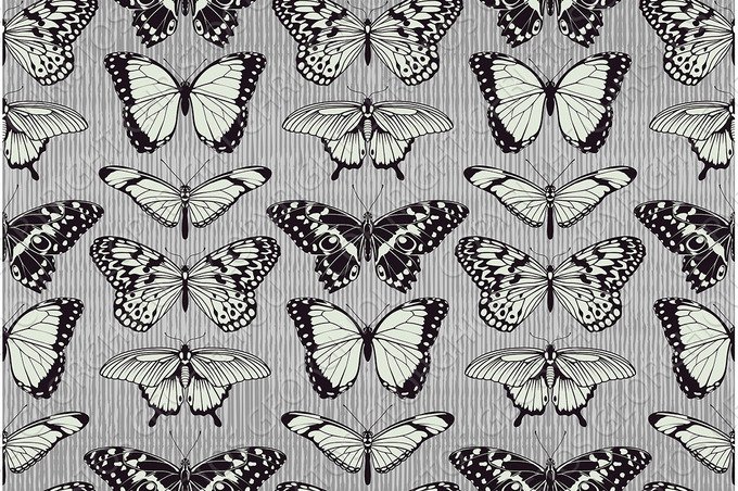 Butterfly pattern background cover image.