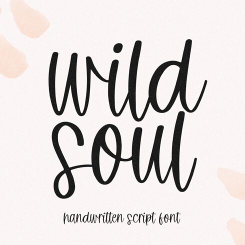 Wild Soul | Boho Script Font cover image.