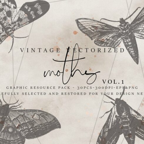 VintageVectorized-Moths Clipart cover image.