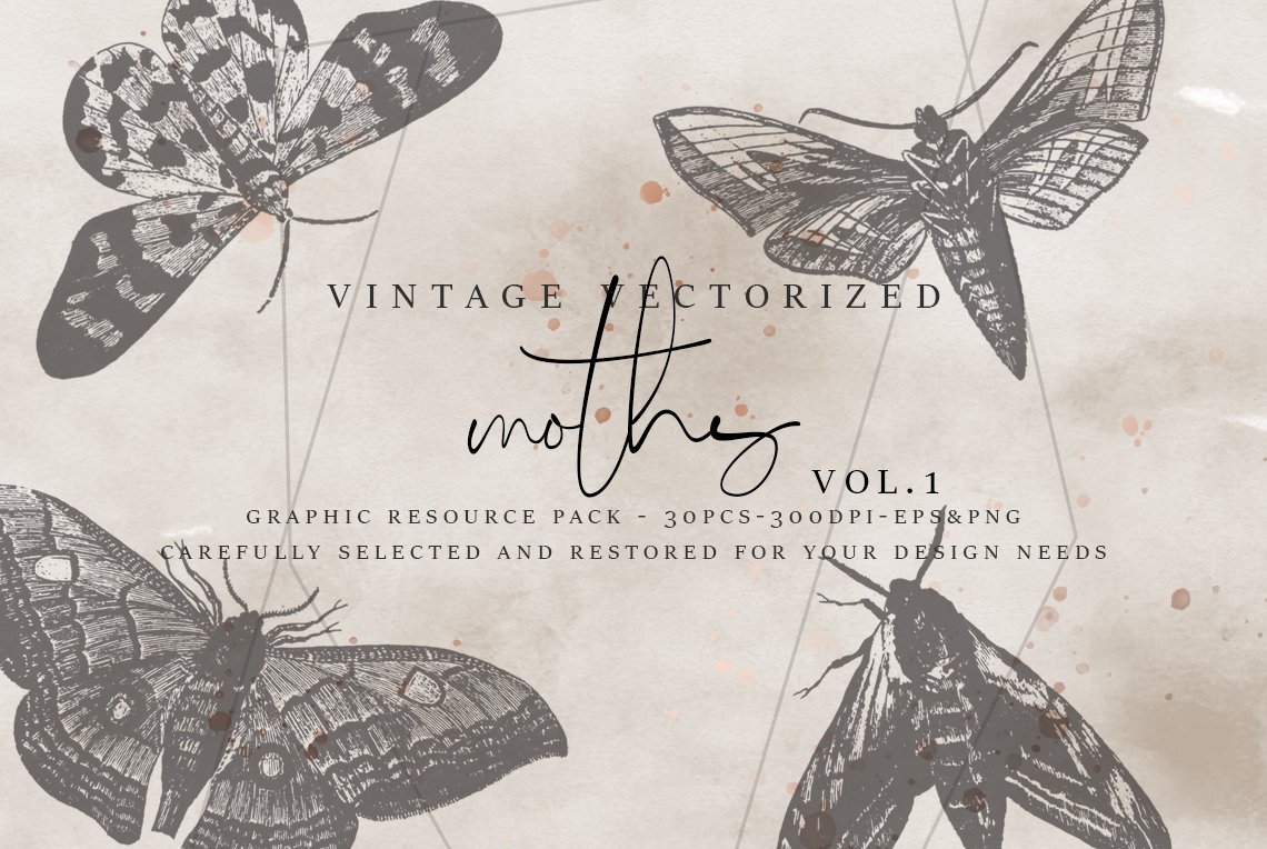VintageVectorized-Moths Clipart cover image.