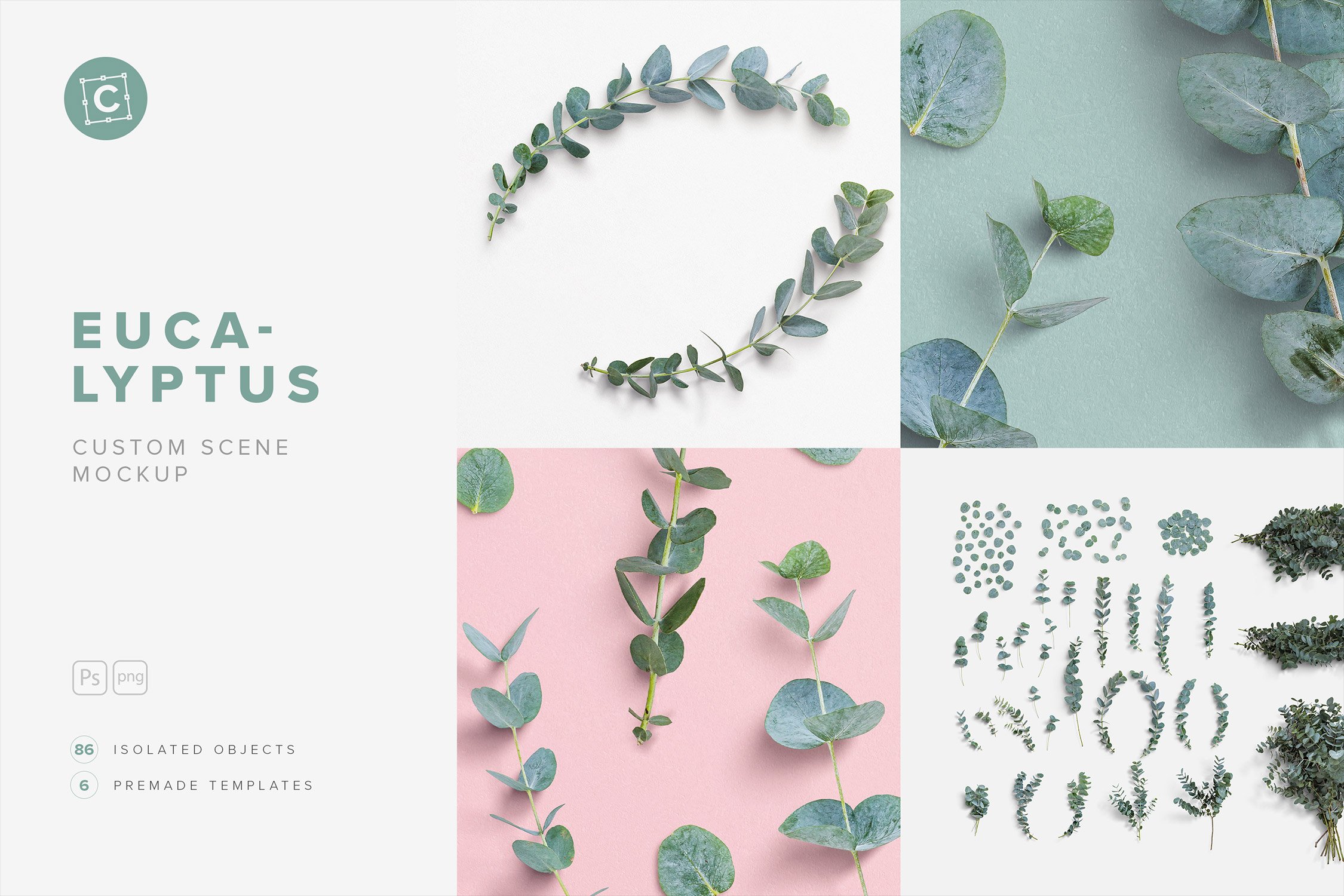 Eucalyptus Custom Scene Creator cover image.