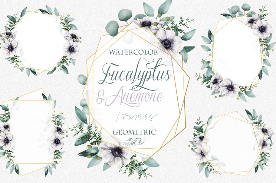 Eucalyptus Anemone Frames Clip Art cover image.