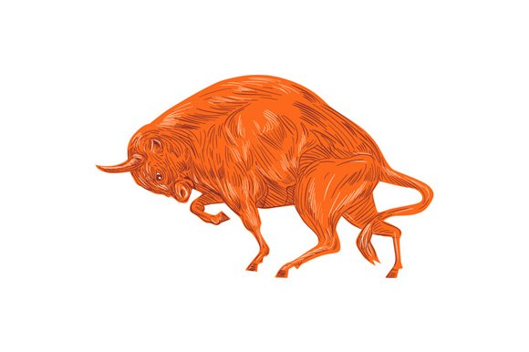 European Bison Charging Drawing cover image.