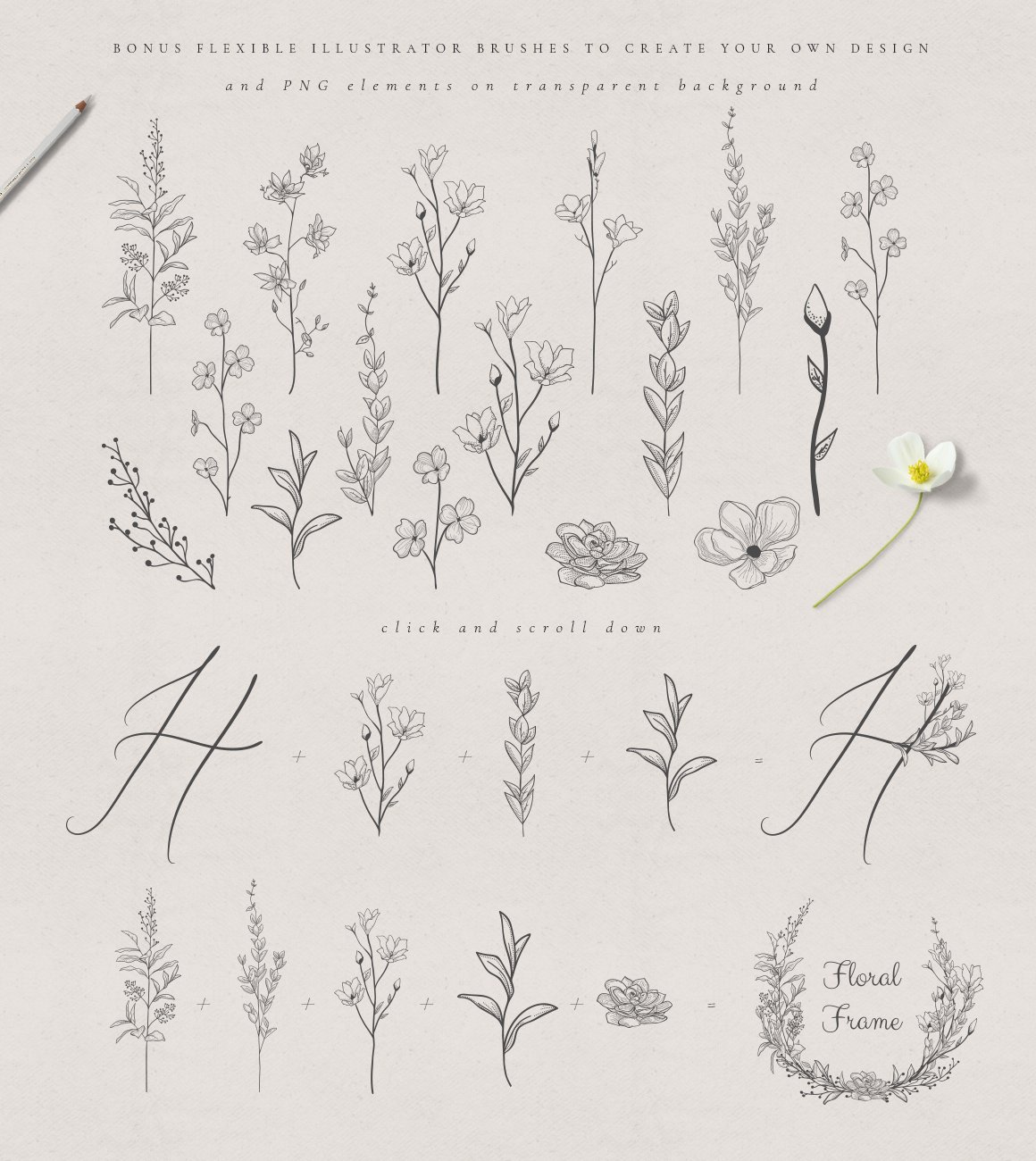 everbloom monograms logo brushes 955