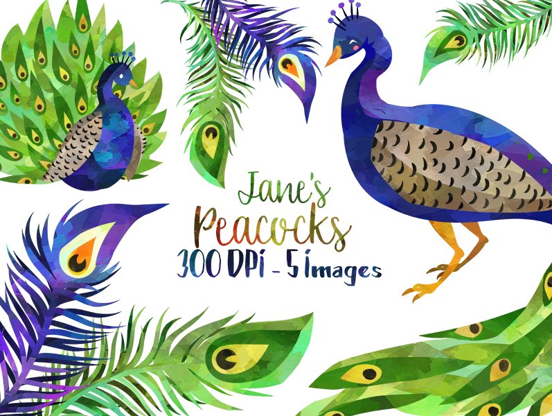 Watercolor Peacock Clipart cover image.
