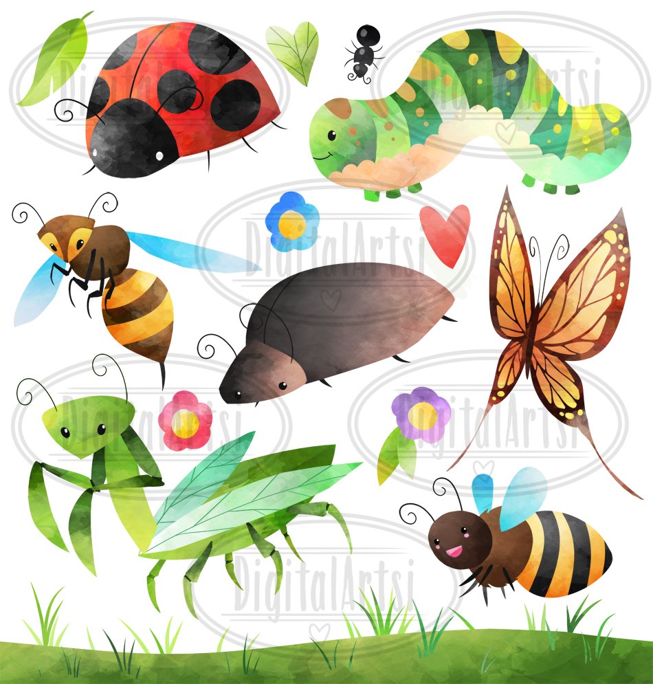 Watercolor Bugs Clipart preview image.