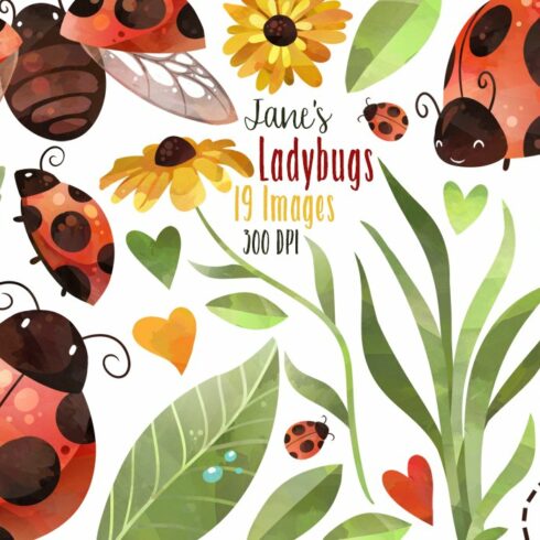 Watercolor Ladybug Clipart cover image.