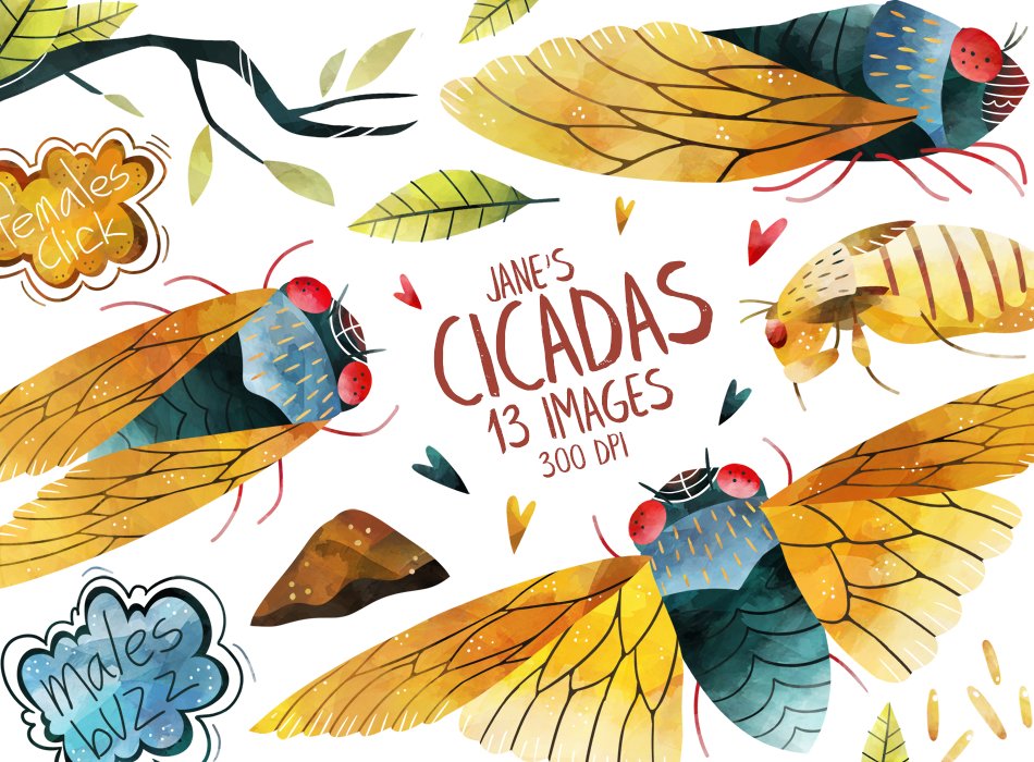 Watercolor Cicadas Clipart cover image.