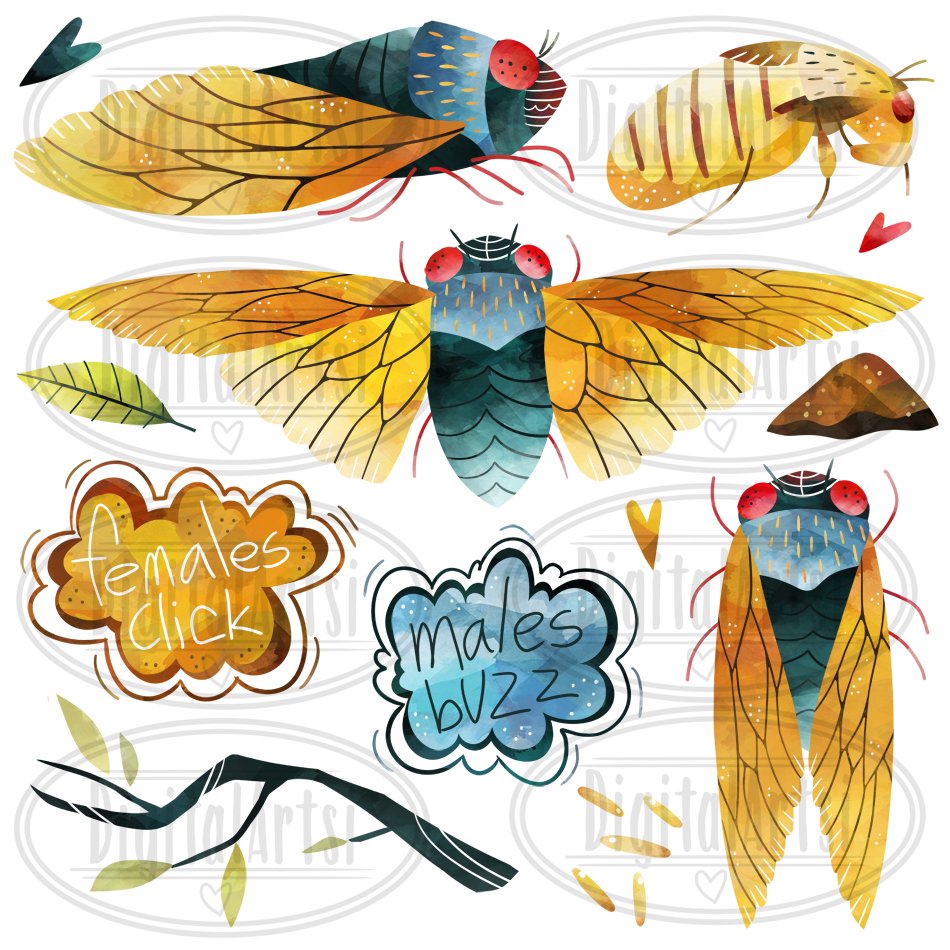 Watercolor Cicadas Clipart preview image.