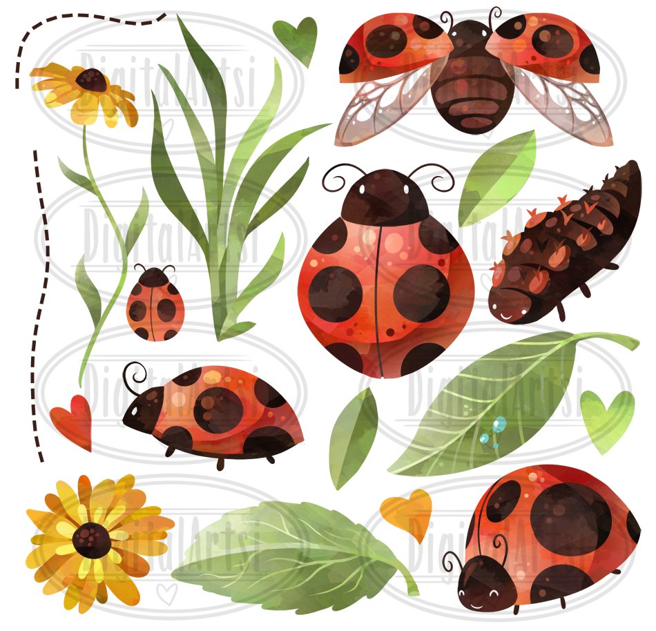 Watercolor Ladybug Clipart preview image.