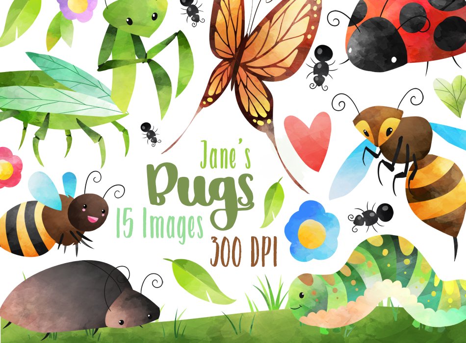 Watercolor Bugs Clipart cover image.