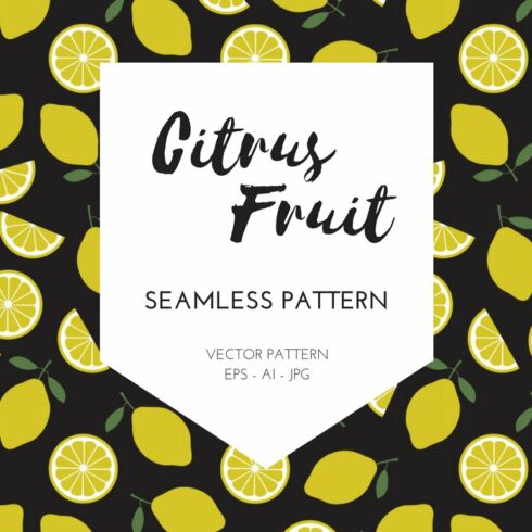Citrus Fruit Pattern cover image.