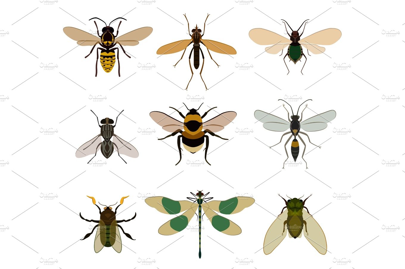Bug icon set isolated on white cover image.