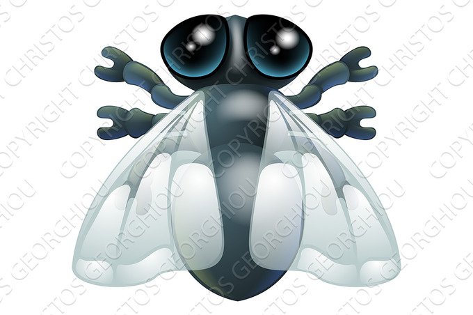 Cartoon fly bug cover image.