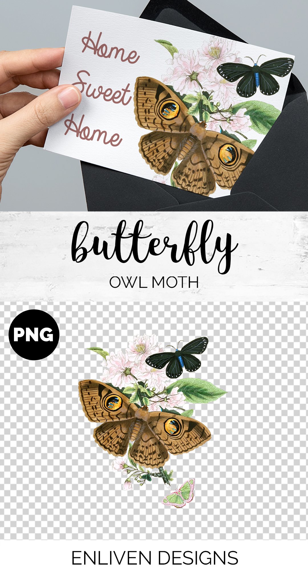 Owl Moth Butterfly Vintage Insect preview image.