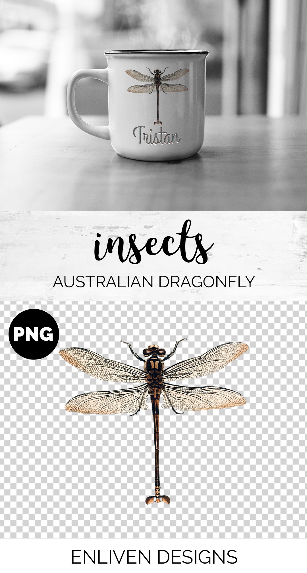 Dragonfly Australian Vintage Insect preview image.