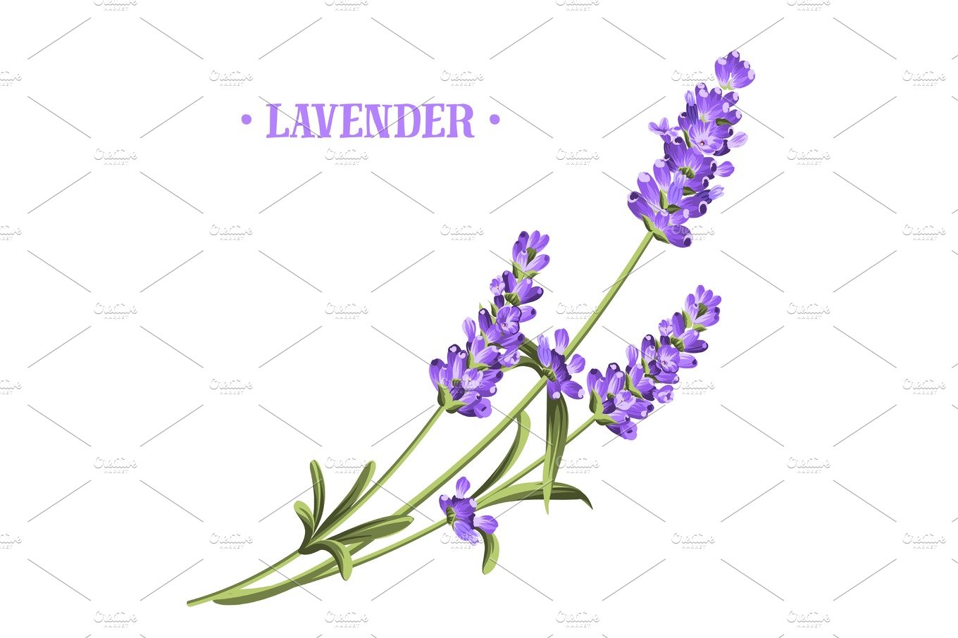 Bunch of lavender. cover image.