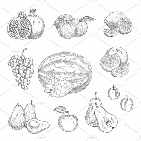 Vector sketch icons of exotic and garden fruits cover image.