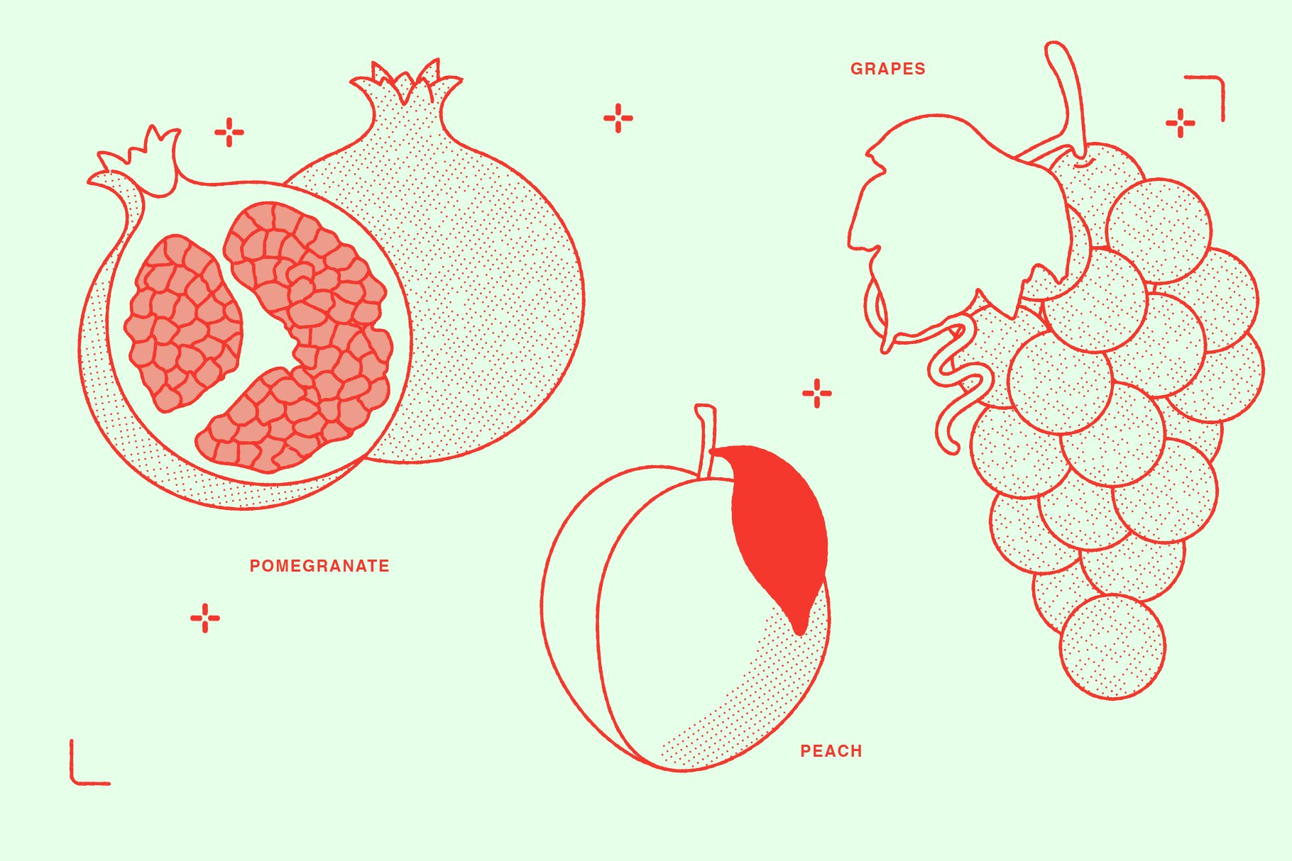 Fruits Vector Illustration preview image.