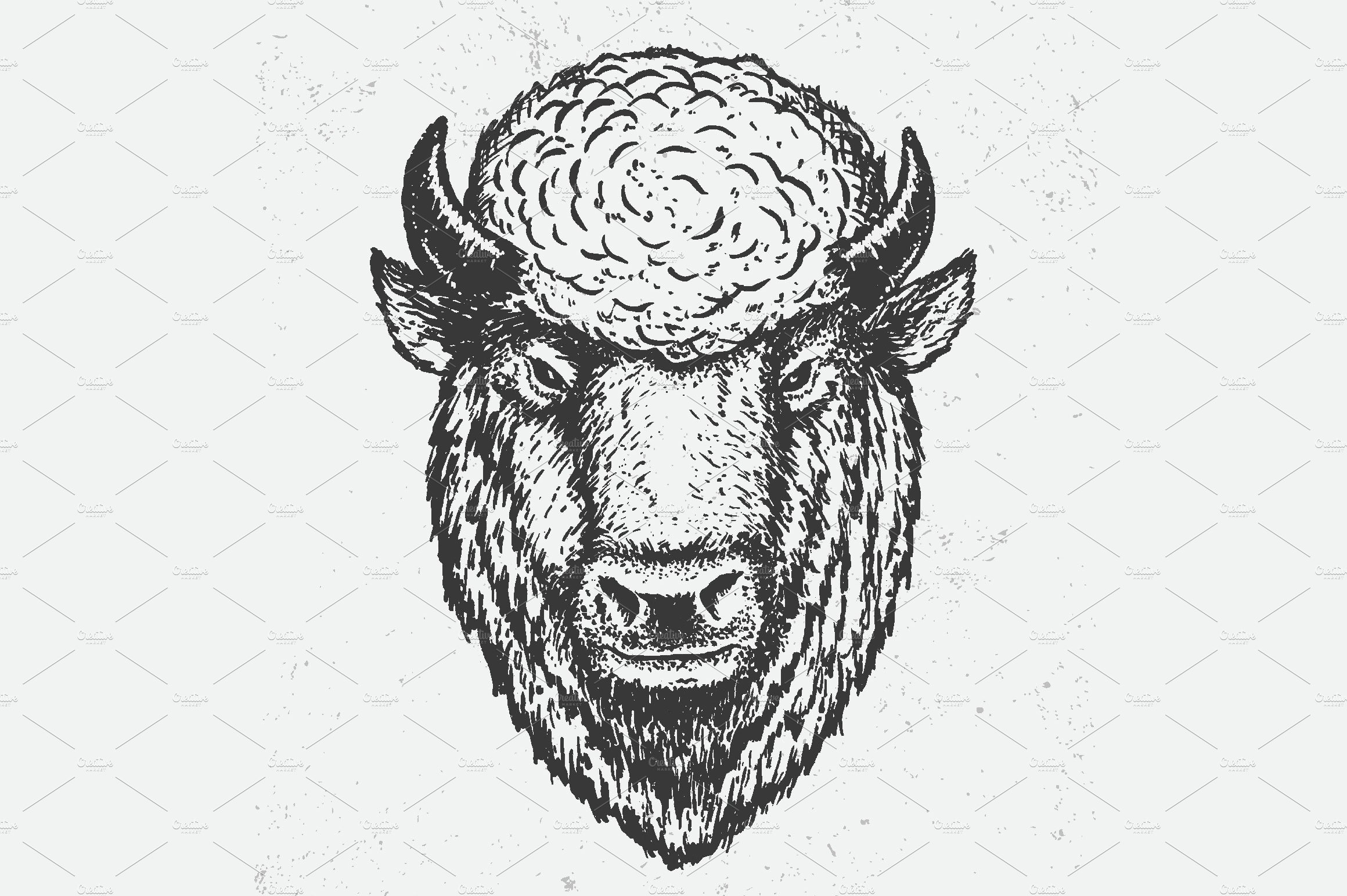 the buffalo head cover image.