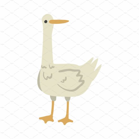 White Goose Farm Bird, Poultry cover image.