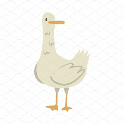 Cute Goose Farm Bird, Poultry cover image.