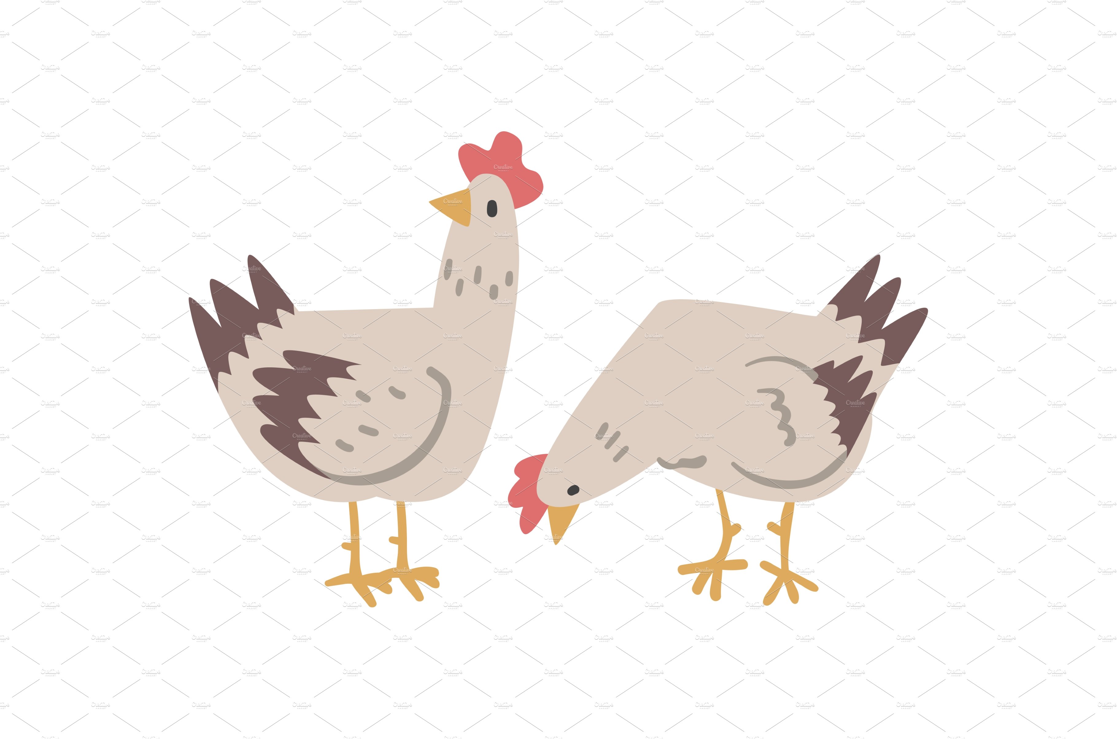 Hens Farm Bird, Poultry Breeding cover image.