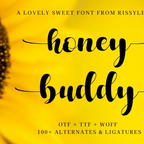 honey buddy | A Lovely Script Font cover image.