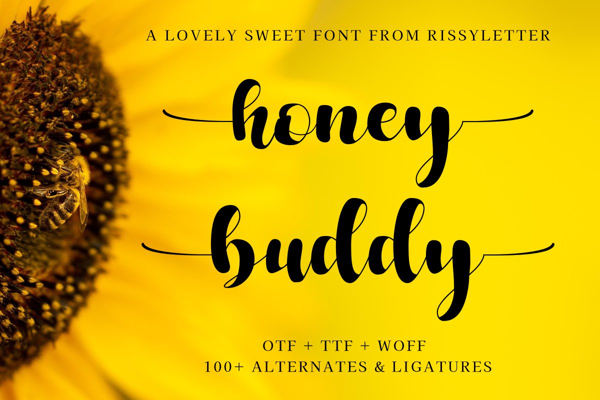 honey buddy | A Lovely Script Font cover image.