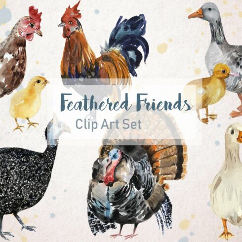 Feathered Friends Watercolor Clipart cover image.