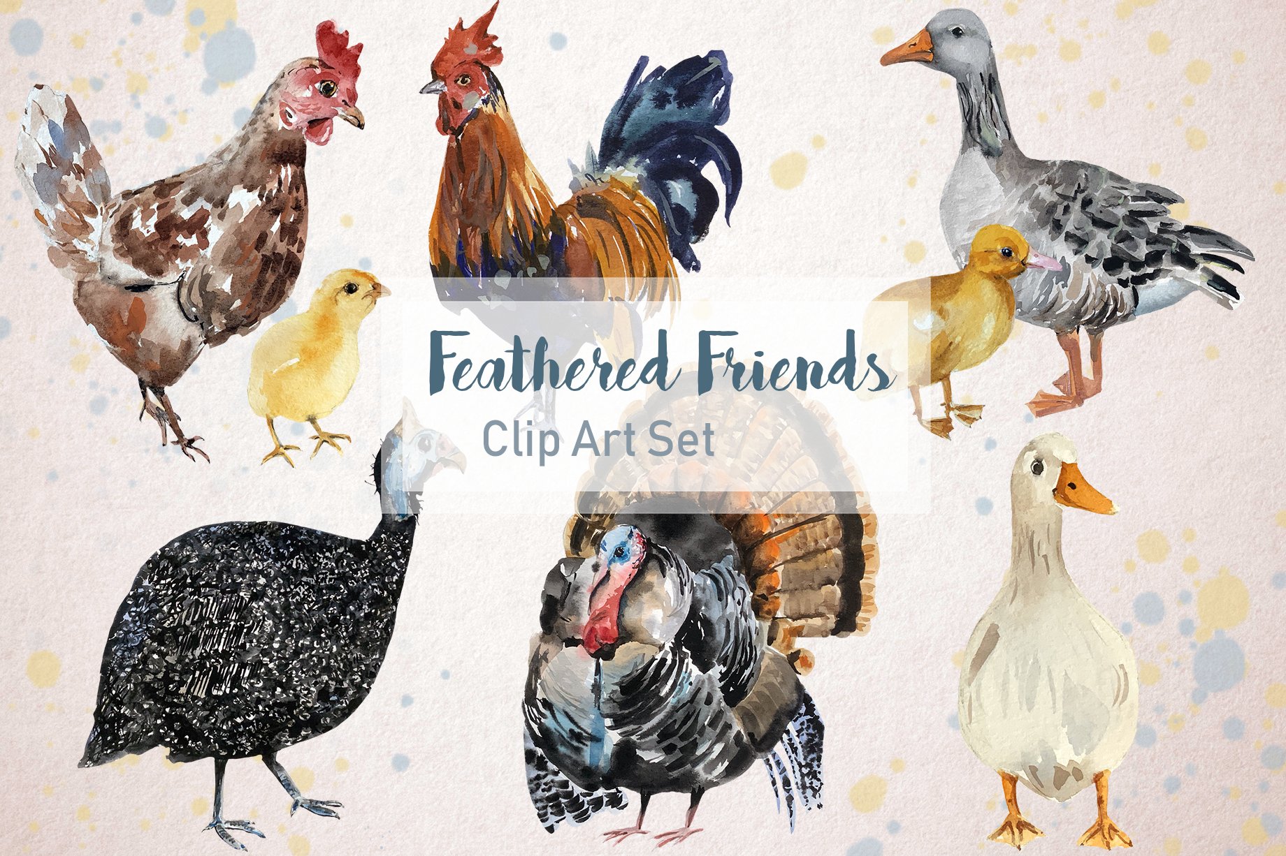 Feathered Friends Watercolor Clipart cover image.