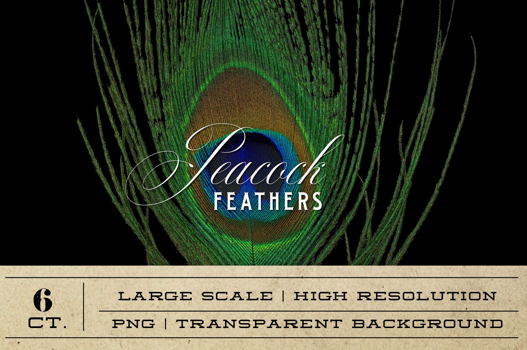 Peacock Feather Graphics cover image.